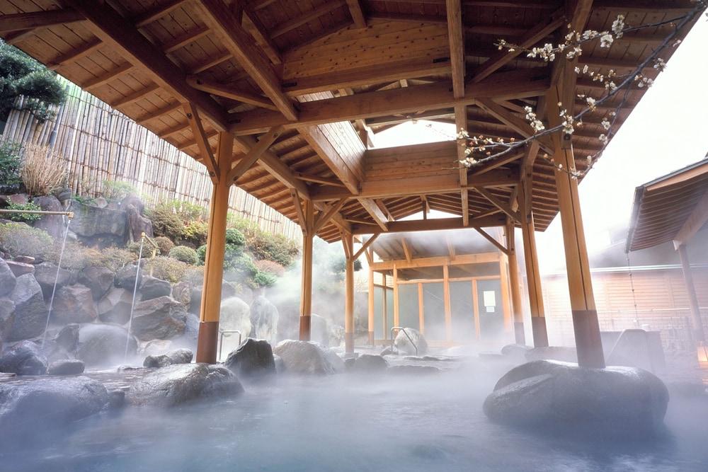 Отель Hakonenomori Okada Экстерьер фото